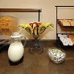 Rodeway Inn & Suites 
